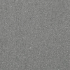 Cove Beach Lounge Chair w/Cushion (2/CN)